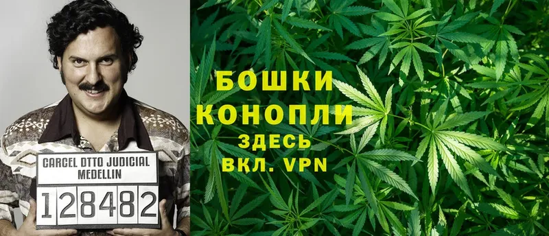 Бошки Шишки OG Kush  Касли 